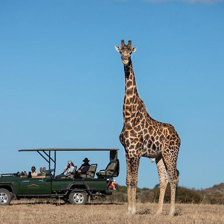 Safari Plains Villa Mabula Game Reserve ภายนอก รูปภาพ